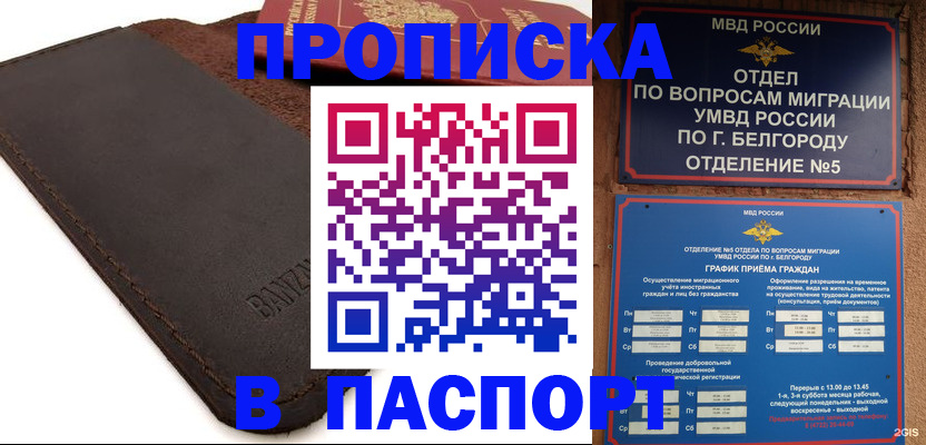 временная регистрация гарантия в Долгопрудном